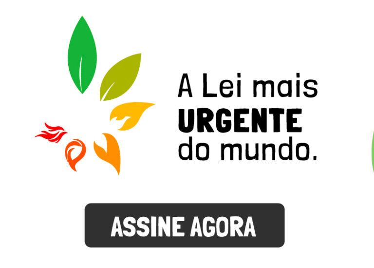 Ações em defesa do futuro unem pais e filhos em São Paulo