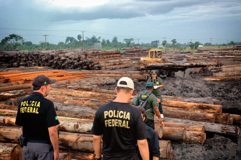 A selva (nossa de cada dia) do delegado Alexandre Saraiva