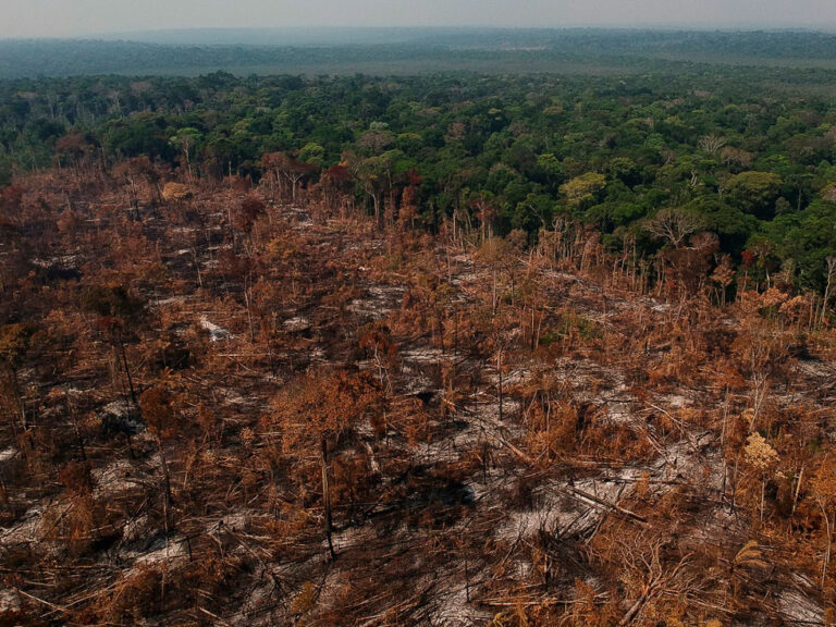 Mudanças climáticas na Amazônia