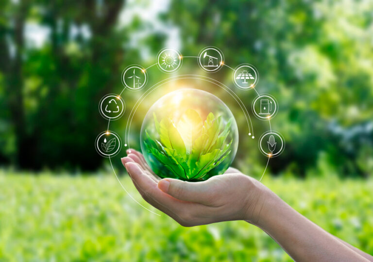 Algoritmo brasileiro busca projetar futuro da floresta amazônica e prever mudança de captação de CO2