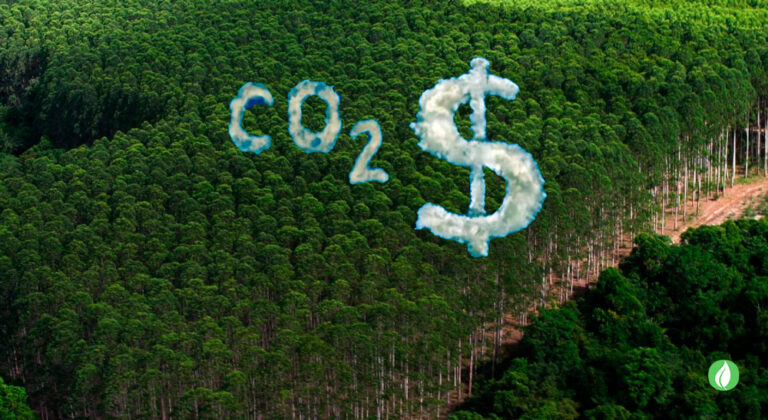 Cidade do Rio cria ISS Neutro para incentivar crédito de carbono