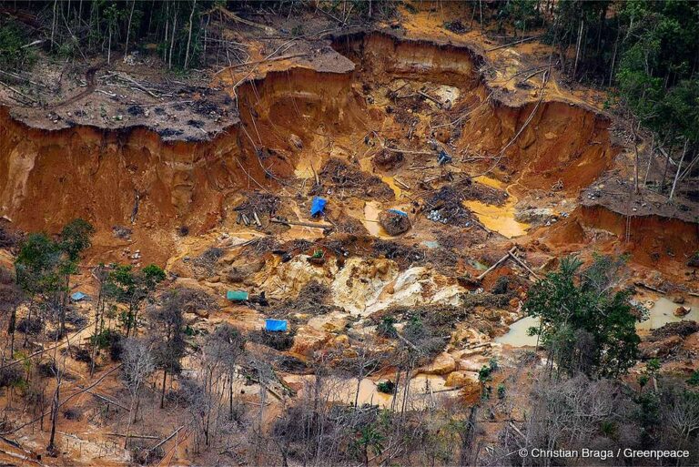 Garimpos faturam mais de 1 milhão de reais por mês na Amazônia
