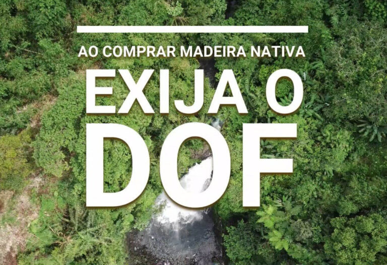 Ibama e órgãos estaduais vão atuar pela adesão de empresas ao DOF+