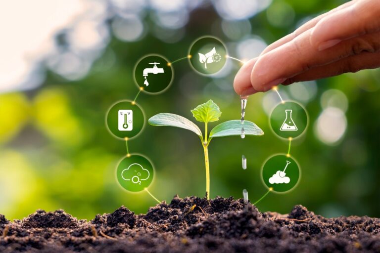 Meio ambiente e desenvolvimento: impactos socioambientais devem ser considerados desde a concepção dos projetos