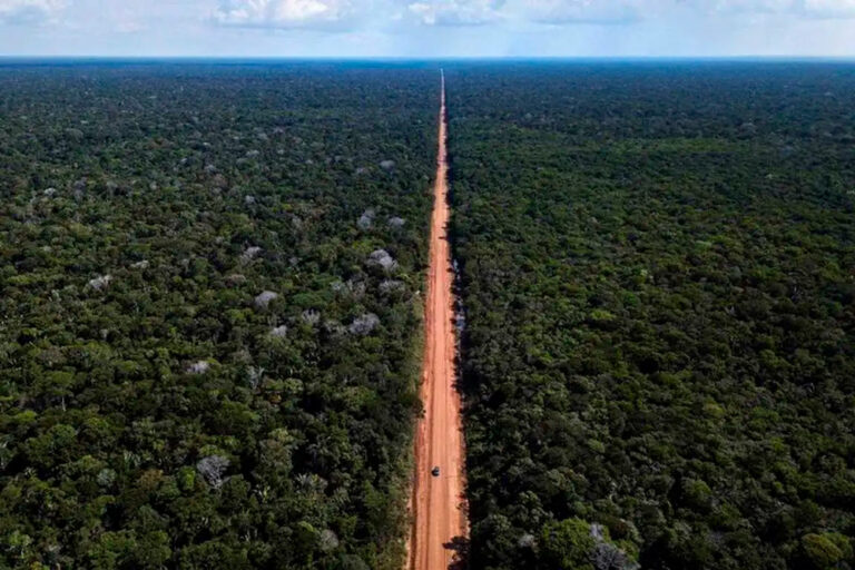 Ferrovia x asfalto na Amazônia