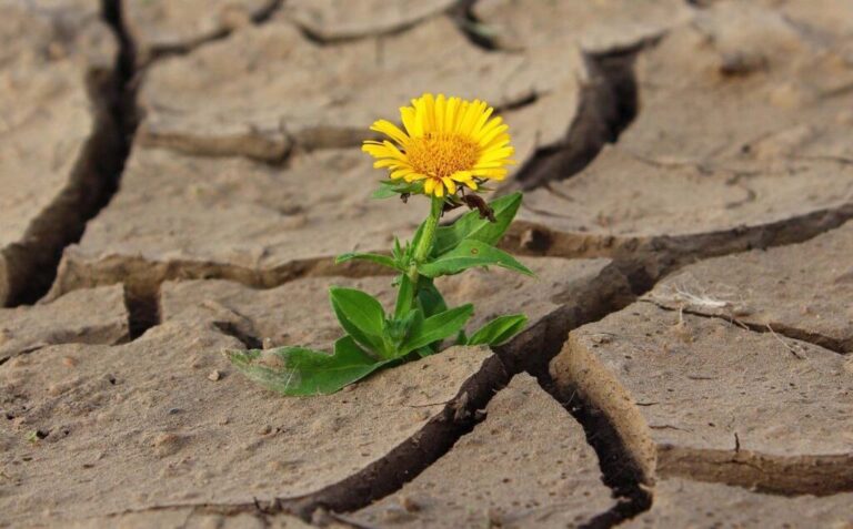 Procurando compreender as mudanças climáticas atuais