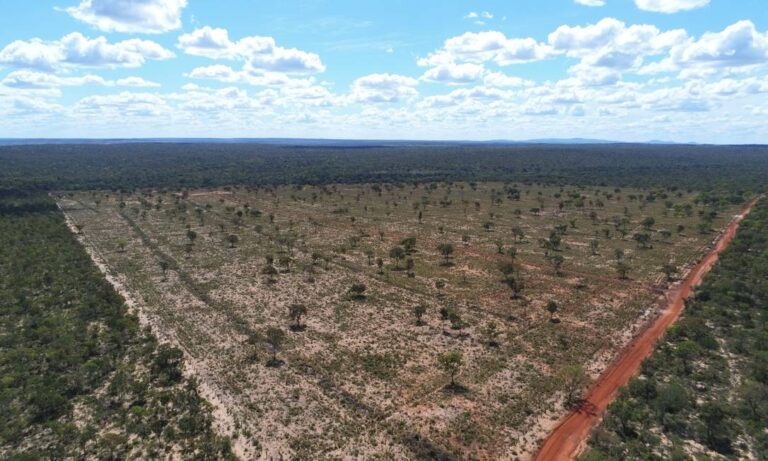 Desmatamento no Cerrado em 2023 atinge majoritariamente bacias hidrográficas