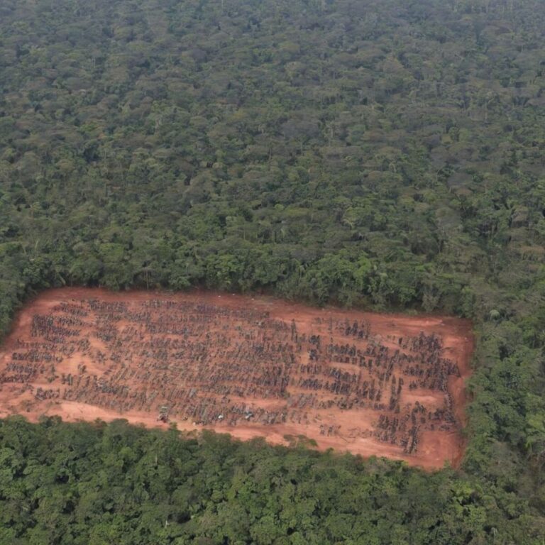 Relatório mostra que Brasil bate recorde em violência agrária em 2023; agrotóxico é o maior tipo de violência 
