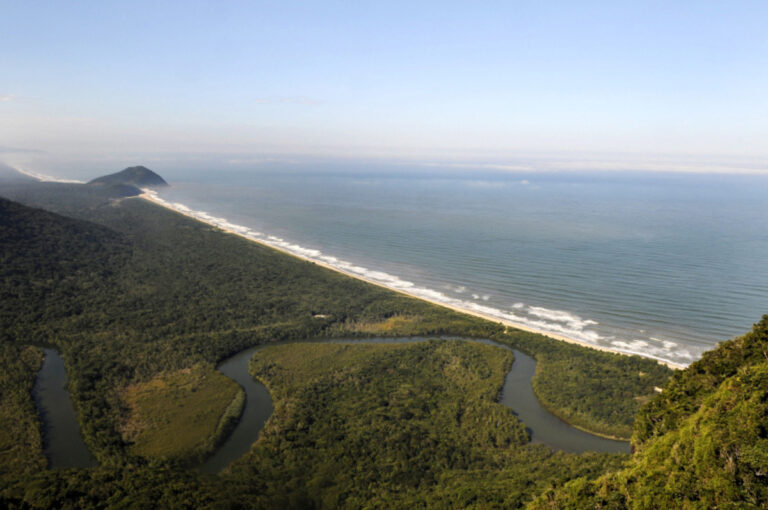Dia da Mata Atlântica: Fragmentos menores que 50 hectares respondem por 97% da Mata Atlântica