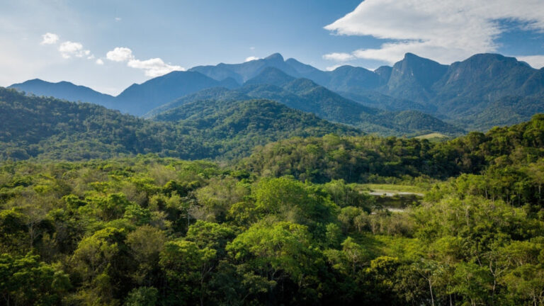 Dia da Mata Atlântica: nove passeios para conhecer o bioma