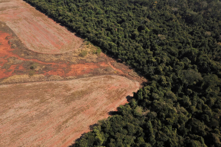 Pela primeira vez na história, Cerrado ultrapassa desmatamento da Amazônia 
