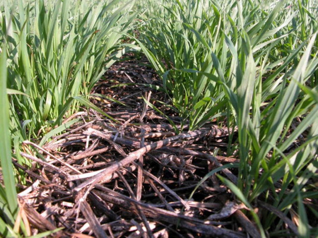 29982798-unnamed-7-1