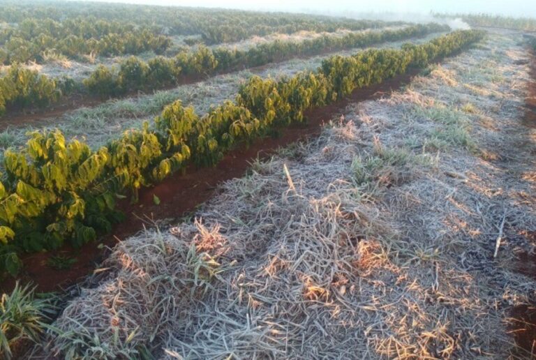 Inverno requer atenção dos setores de energia e agronegócio, diz Climatempo 