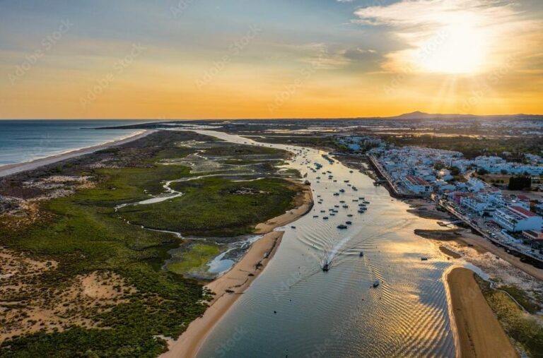 Manguezal sem mangue em Portugal