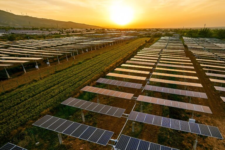 Impactos da transição energética no agronegócio