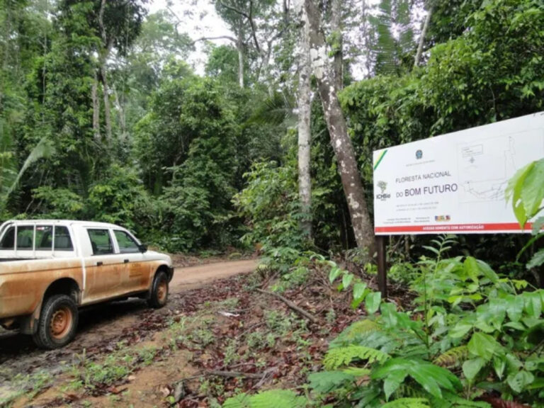 Estudo do Instituto Escolhas colabora na elaboração da nova lei de concessões florestais