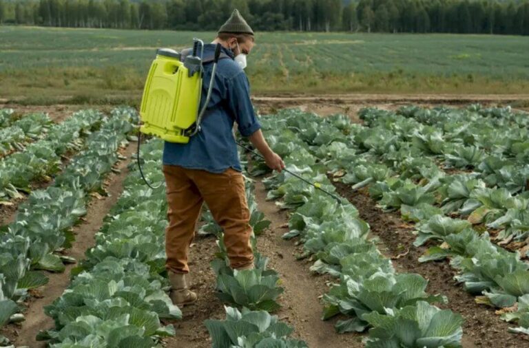 Uma nova abordagem no controle de doenças de plantas