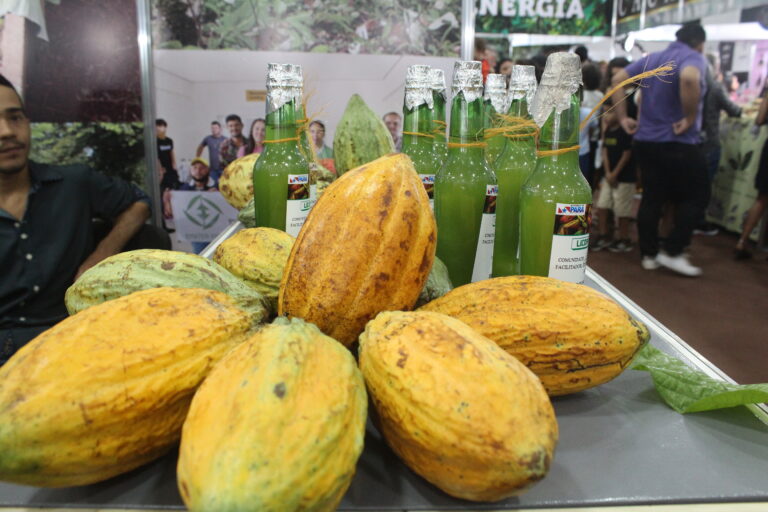 Eco-distância – (aos cacaueiros da Transamazônica)