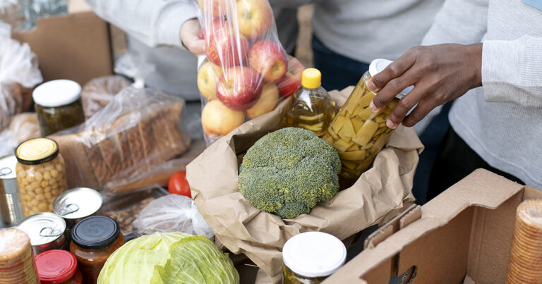Desafios sobre a legislação de doação de alimentos dificultam o combate ao desperdício 