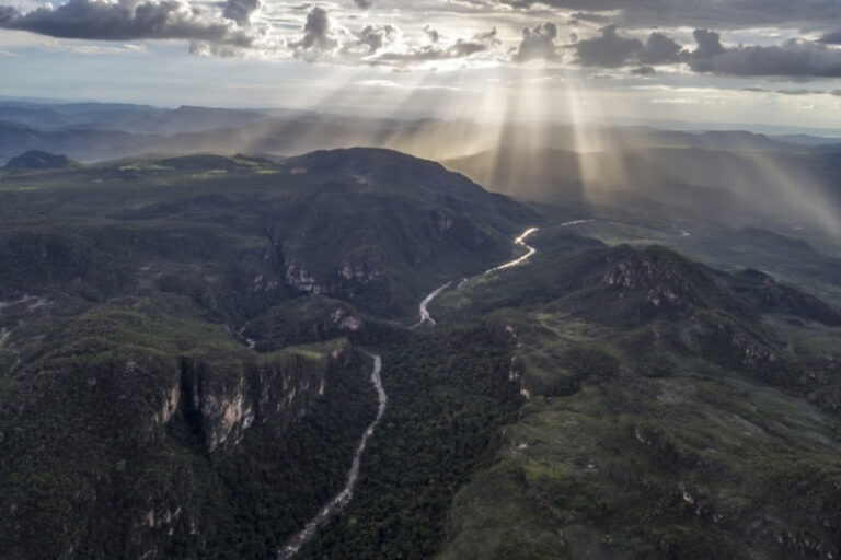 DIA DO CERRADO: Cerrado é bioma mais rapidamente devastado do Brasil