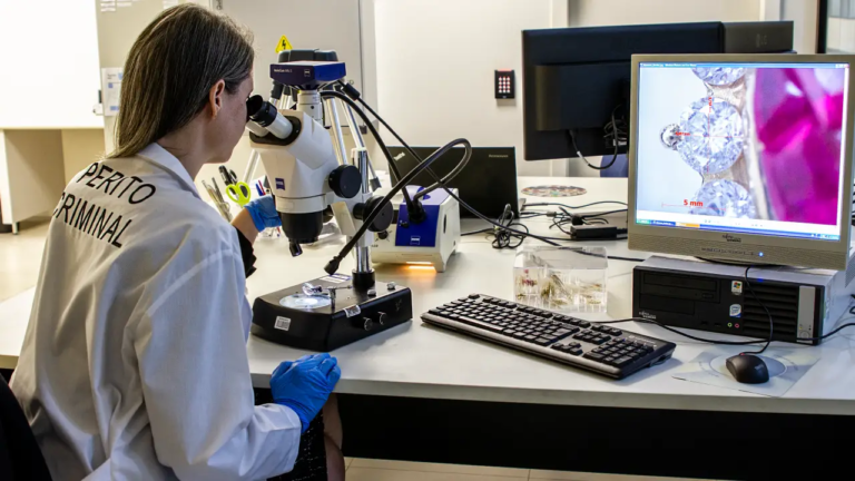 Polícia Técnico-Científica da PF sobressai no combate aos crimes ambientais