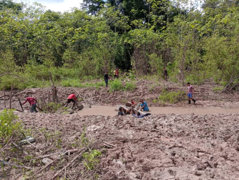 DIA DA AMAZÔNIA: Nove em cada 10 terras indígenas da Amazônia enfrentam seca