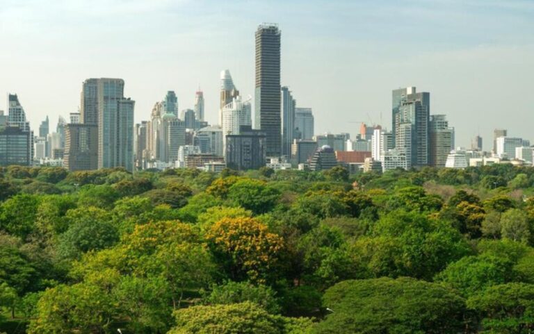 Transparência sobre o cumprimento da legislação ambiental varia entre Estados, mas já há muita informação disponível 