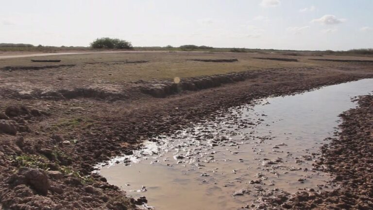 A natureza como agente de transformação