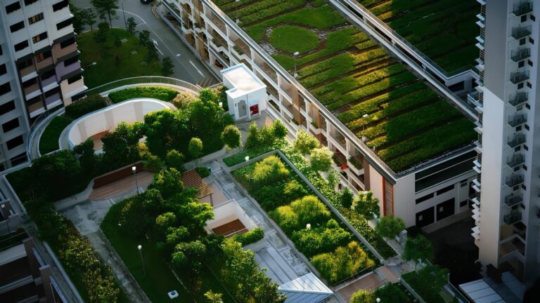 De Kalundborg a Recife: A nova era das cidades circulares 