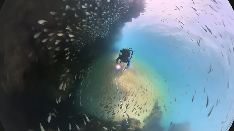 Brasil tem os primeiros registros de cavernas submarinas 