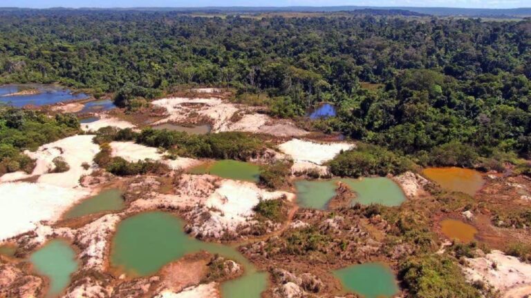 Estudo inédito indica potencial de contaminação por mercúrio em quatro bacias da Amazônia