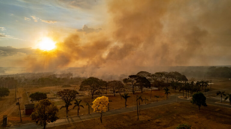 Falta de fiscalização em terras privadas causa aceleração da destruição do Cerrado 
