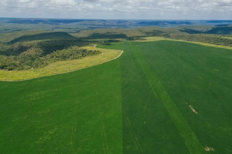 Projeto jornalístico aponta caminhos para equilíbrio entre o agronegócio, conservação e justiça socioambiental