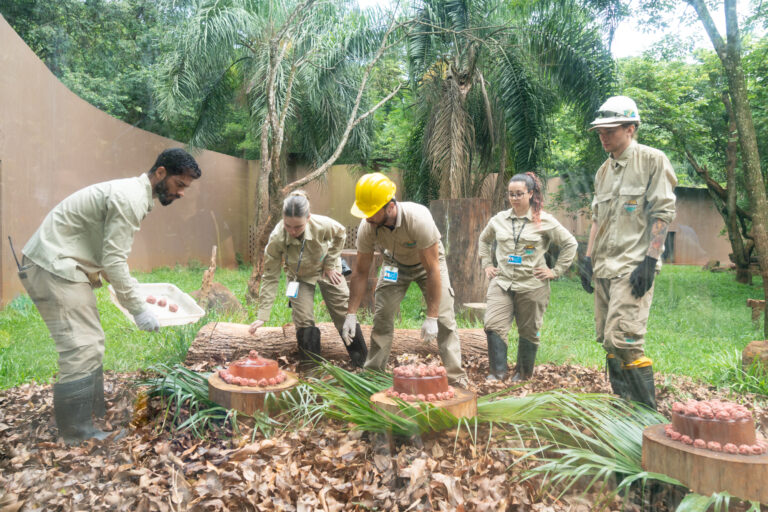 Itaipu celebra Dia Internacional da Onça-pintada