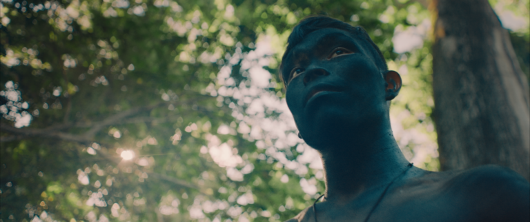 TV Cultura exibe hoje o premiado documentário A Última Floresta