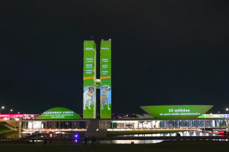 Projeção no Congresso Nacional destaca número alarmante de 30 milhões de cães e gatos abandonados no Brasil