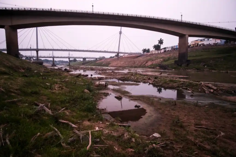  Rio Acre perde 40% de mata ciliar em 55 anos e corre risco de colapso ambiental 