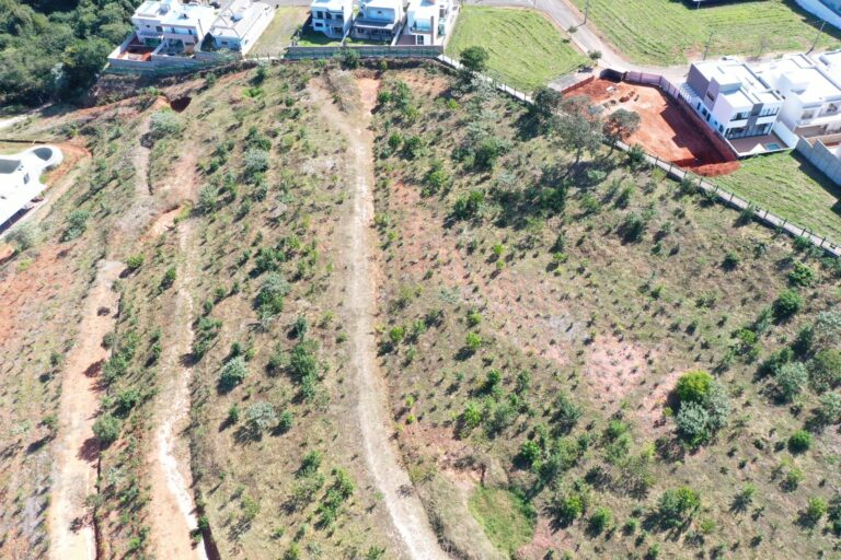 Em ação do programa Raízes do Mogi Guaçu, Copaíba lidera a restauração de áreas florestais com o plantio de mais de 20 mil mudas