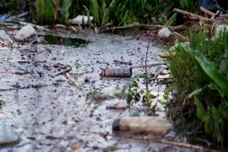 Água, planta e clima