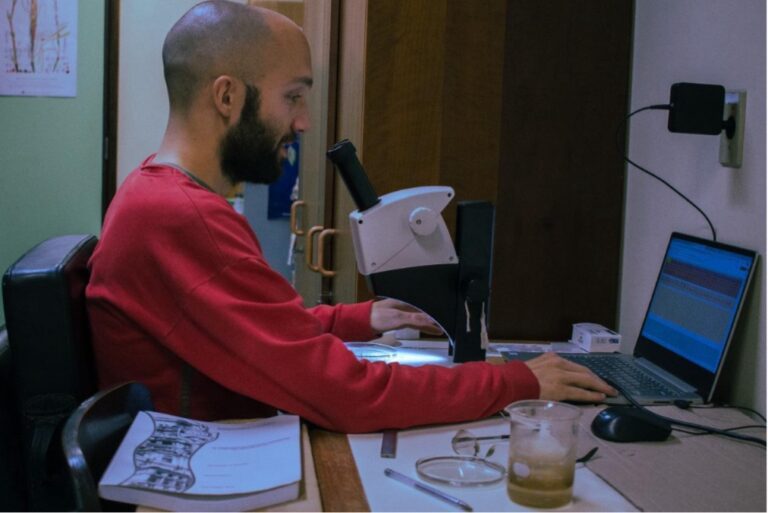 Novas Espécies de margaridas amarelas são descobertas noNorte de Minas