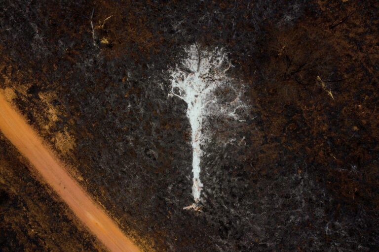 Água Pantanal Fogo apresenta imagens impactantes de Lalo de Almeida e Luciano Candisani sobre o bioma em turnê na Europa