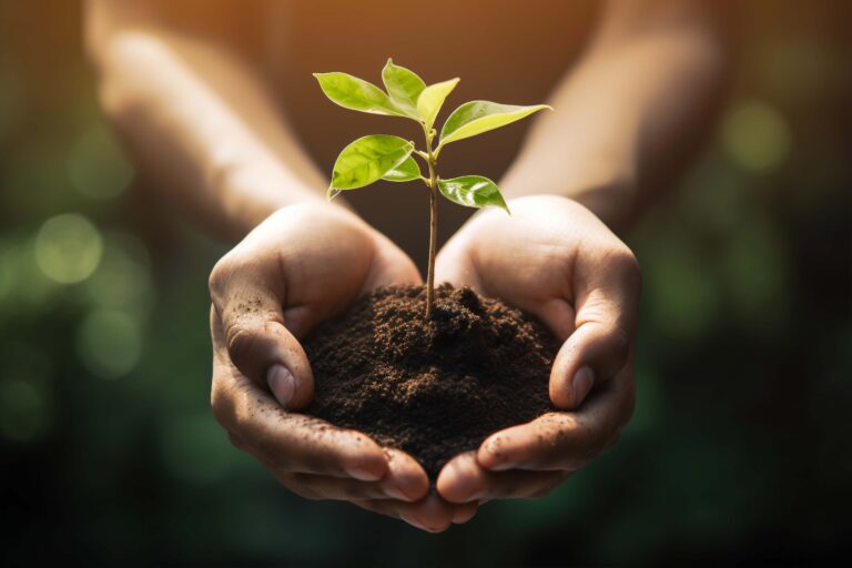 Restauração de florestas em assentamentos da reforma agrária no Pará produzirá mais de 15 milhões de toneladas de alimentos