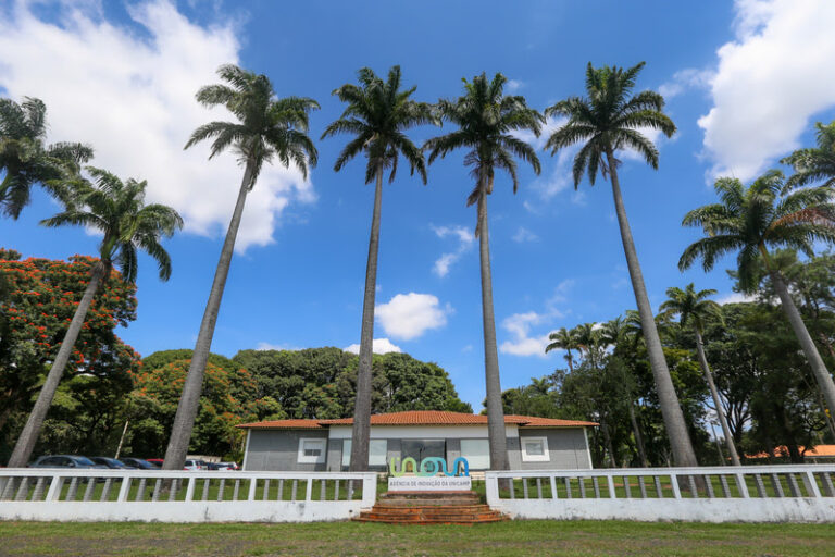Tecnologia da Unicamp transforma subproduto da indústria de celulose em solução para agricultura e captura de carbono