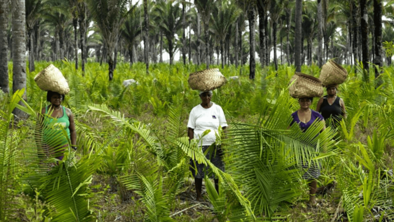 Povos e comunidades tradicionais cobram urgência na definição de marco legal para regularização fundiária de territórios 