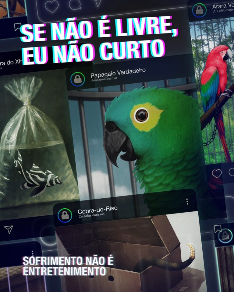Campanha aborda o papel das redes sociais no estímulo ao tráfico de animais silvestres