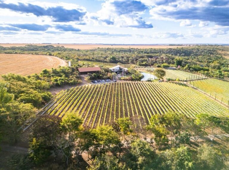 O NOVO LUXO – VIAJAR COM CONSCIÊNCIA