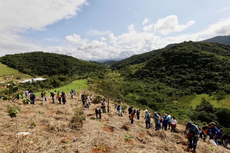 Restauração Florestal no Rio de Janeiro avança, gera impacto social e fortalece a segurança hídrica 