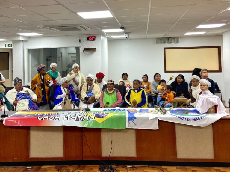 Povos tradicionais denunciam falta de licença prévia para ampliação da BR 386, no Rio Grande do Sul