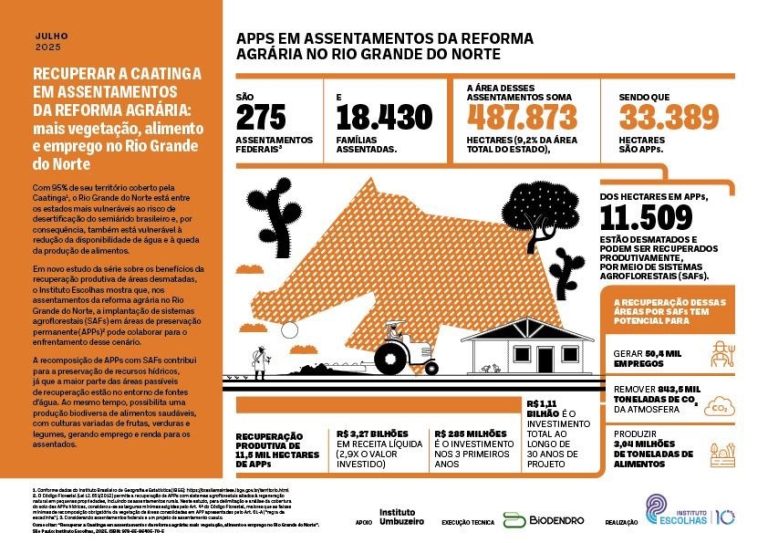 Novo estudo mostra que Rio Grande do Norte é um dos estados mais afetados pela desertificação da Caatinga