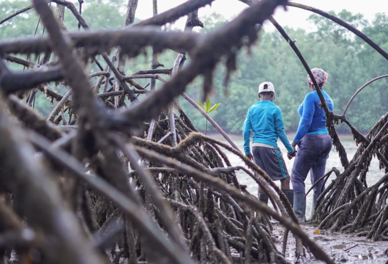 Quilombos titulados desmatam até 55% menos em países da Amazônia  